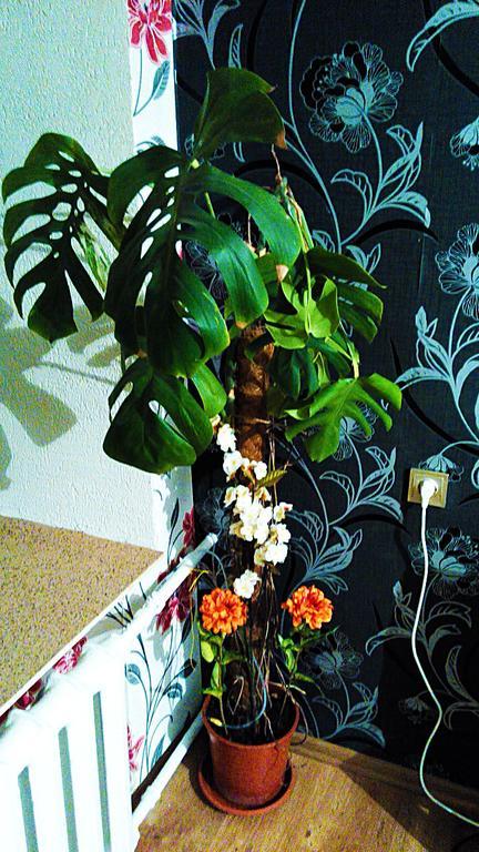 Picturesque Apartment Into Antique Fortress Daugavpils Quarto foto